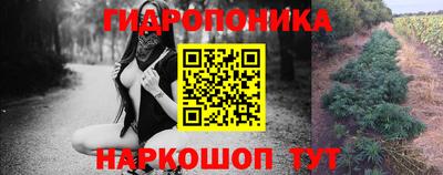 прущая мука Гатчина