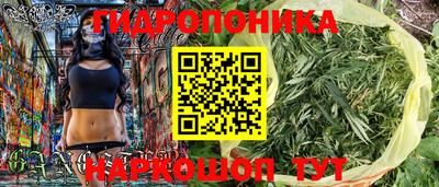 прущая мука Гатчина