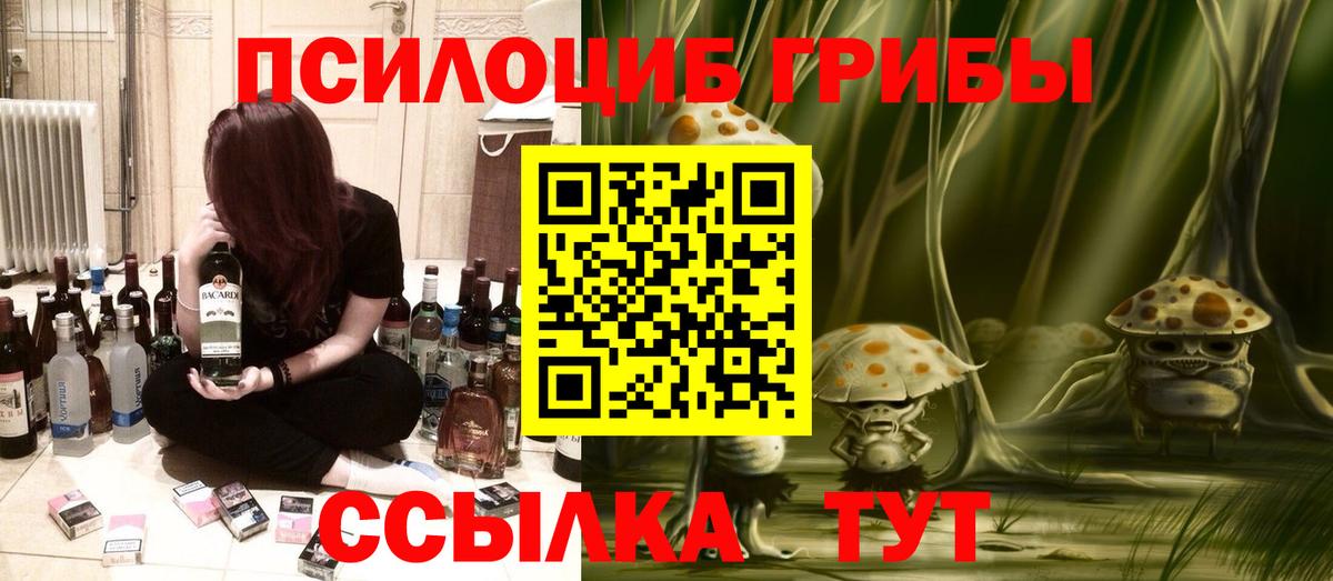 Псилоцибиновые грибы прущие грибы  Вход с VPN  Нальчик 