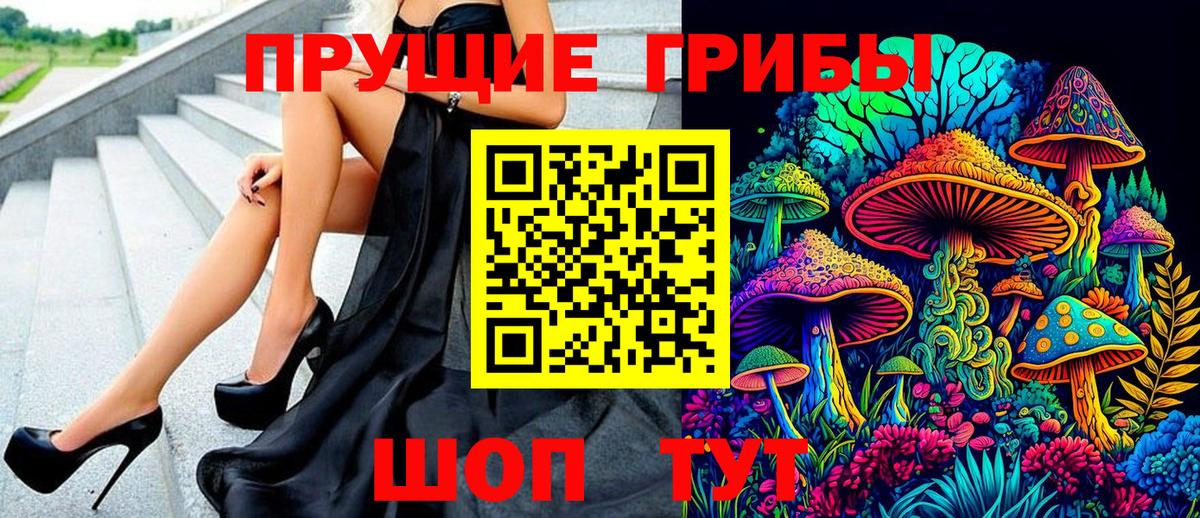 Псилоцибиновые грибы GOLDEN TEACHER Нальчик